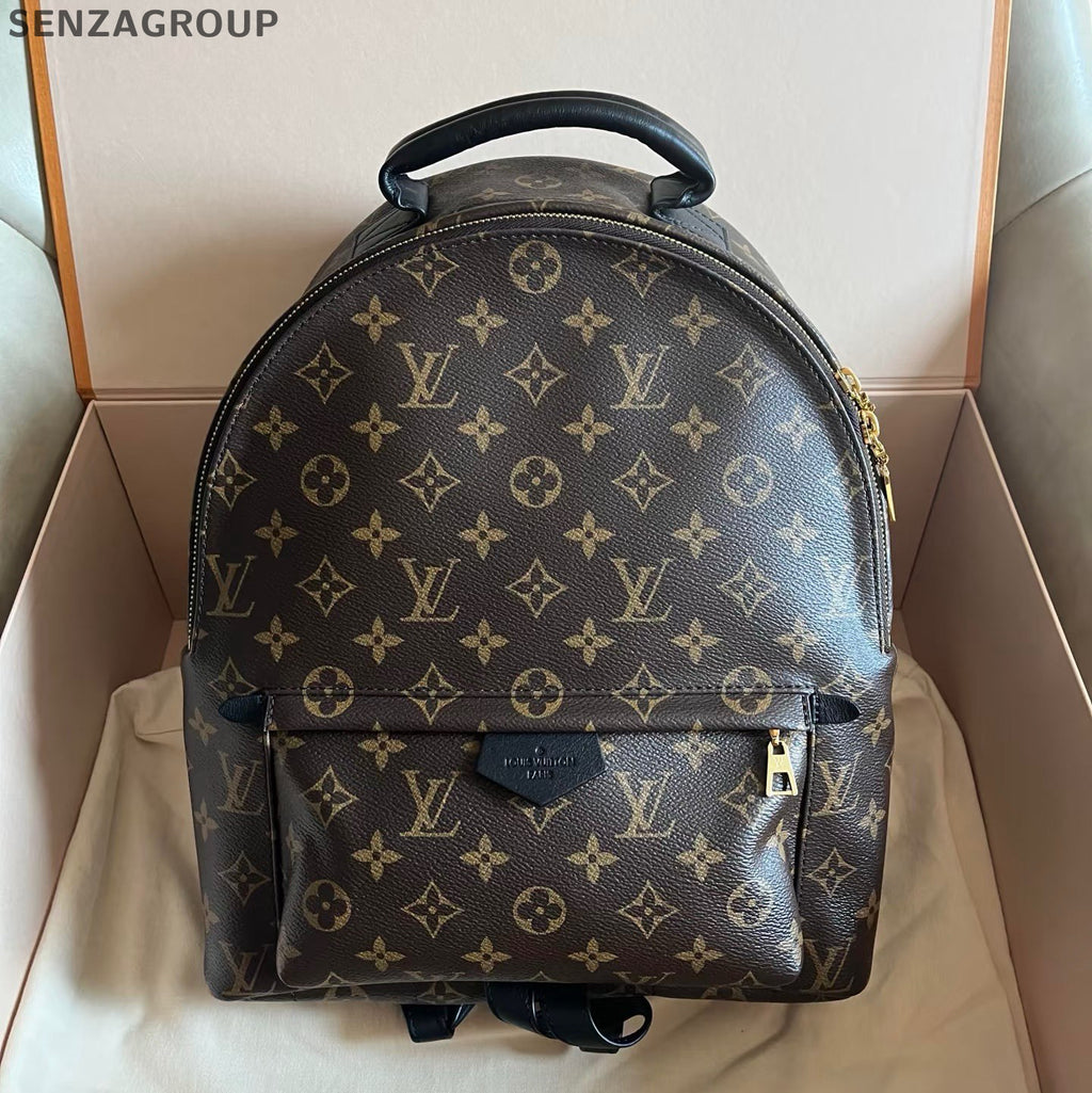 Louis Vuitton Palm Springs Backpack MM Monogram Brown Black Unisex