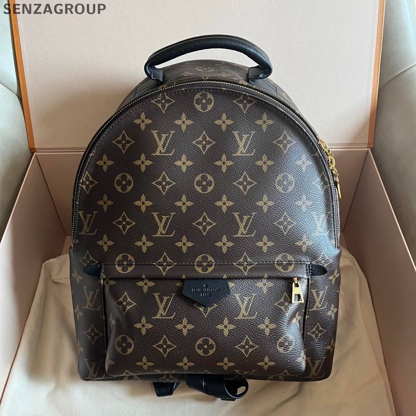 Louis Vuitton Palm Springs Backpack MM Monogram Brown Black Unisex