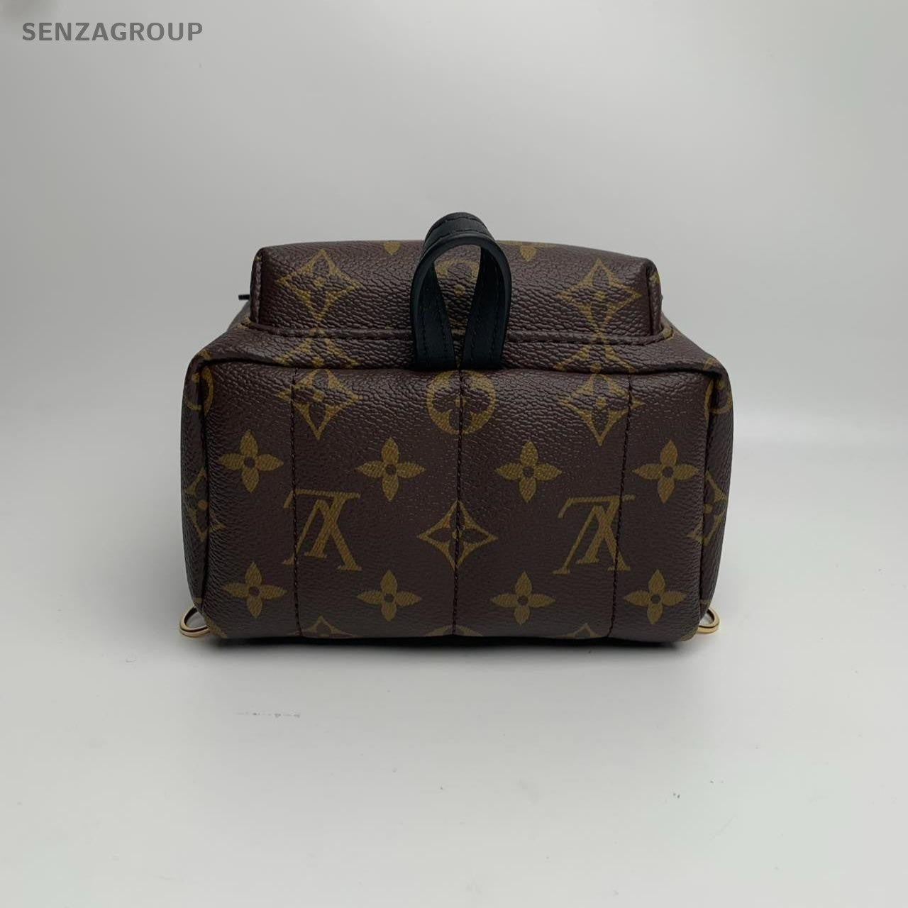 SJ0001 LV palm Spring mini backpack