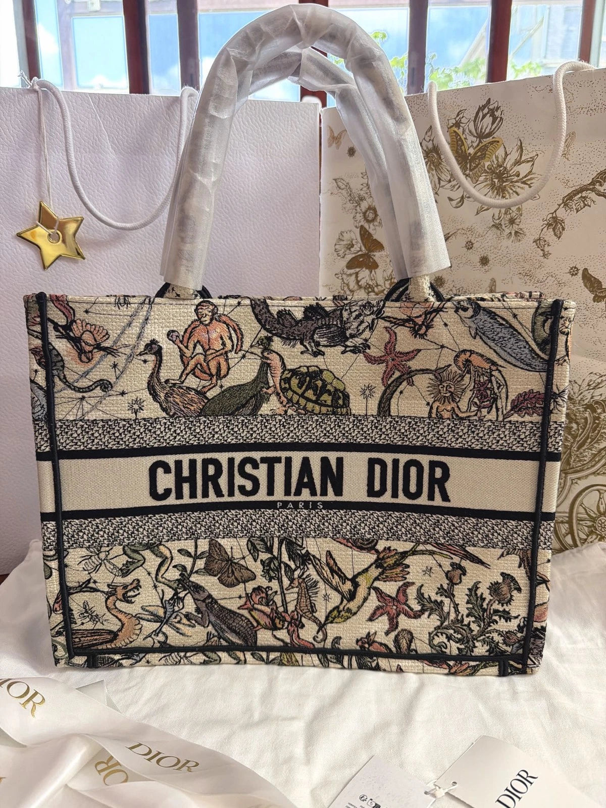 Dior Book Tote Canvas Handbag Tote Bag Excellent