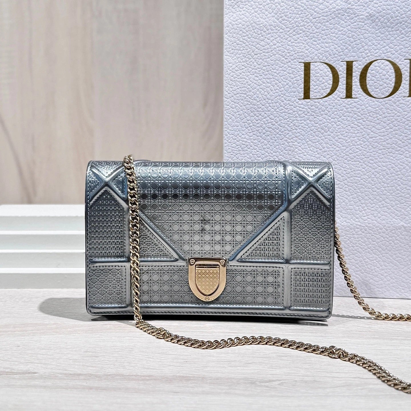 Dior Silver Shield WOC Leather Chain Crossbody Bag For Women