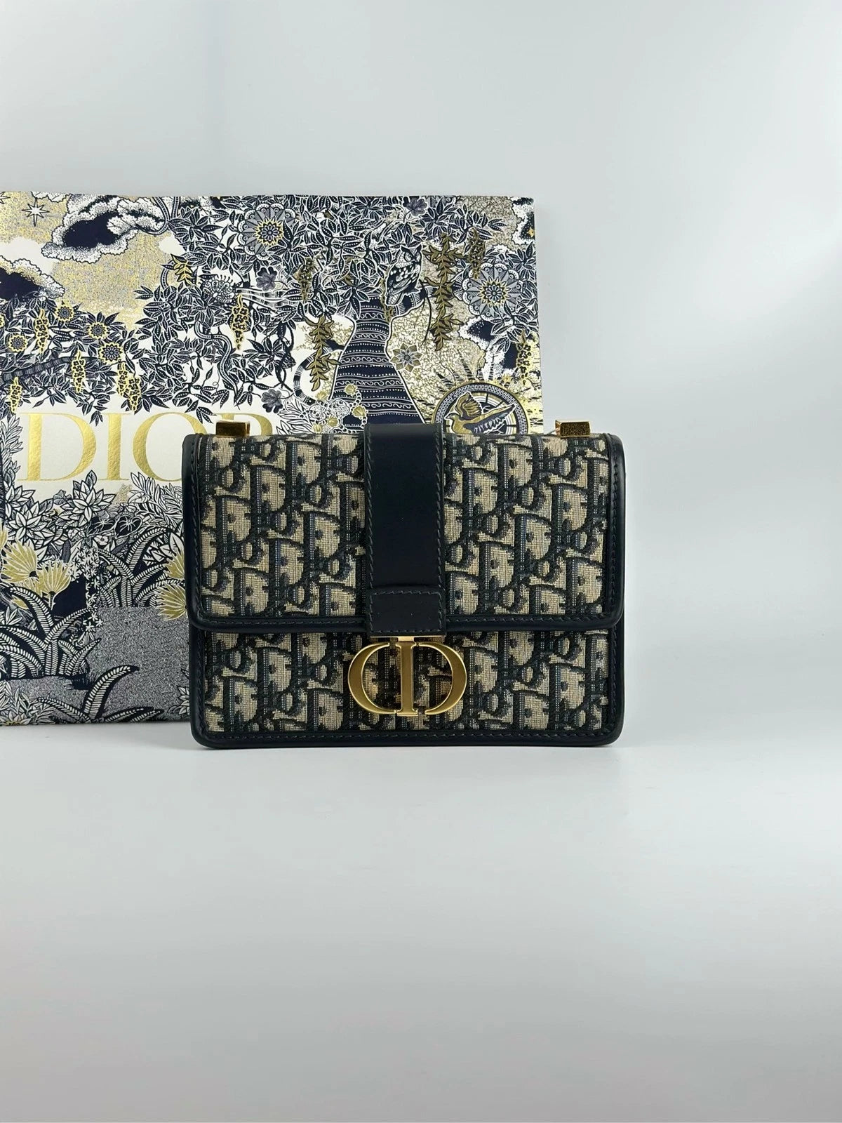 Dior Montaigne 30 Small Monogram Canvas Shoulder Bag For Women