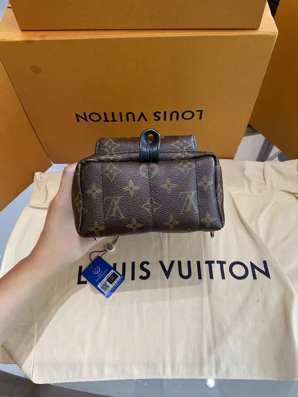 Louis Vuitton Monogram Canvas Palm Springs Mini Backpack