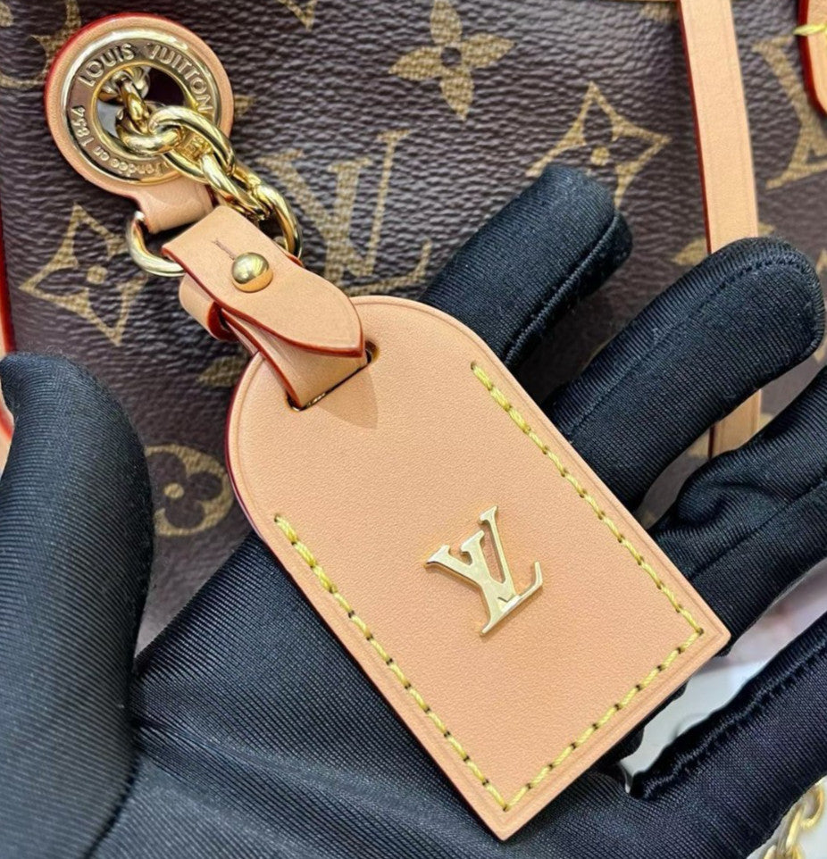 Louis Vuitton Carryall BB Monogram Canvas Chain Shoulder Bag Crossbody Women