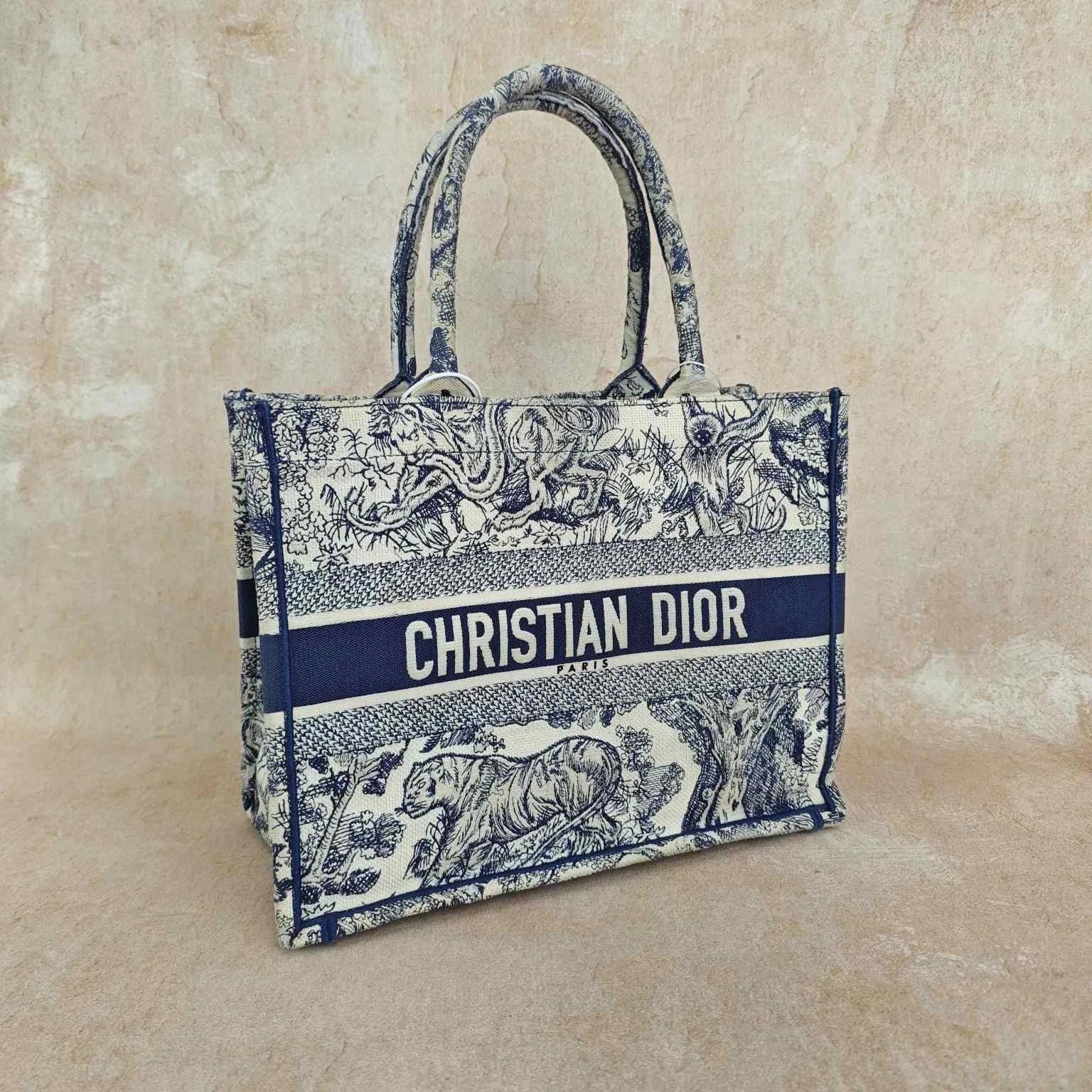 Dior Embroidered Canvas Medium Book Tote Handbag For Women