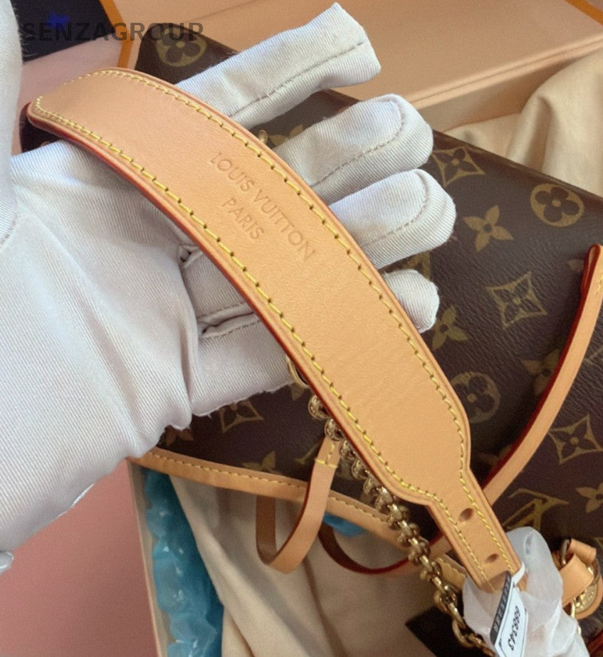 Louis Vuitton Carryall BB Monogram Chain Shoulder Bag Brown Gold Women Classic