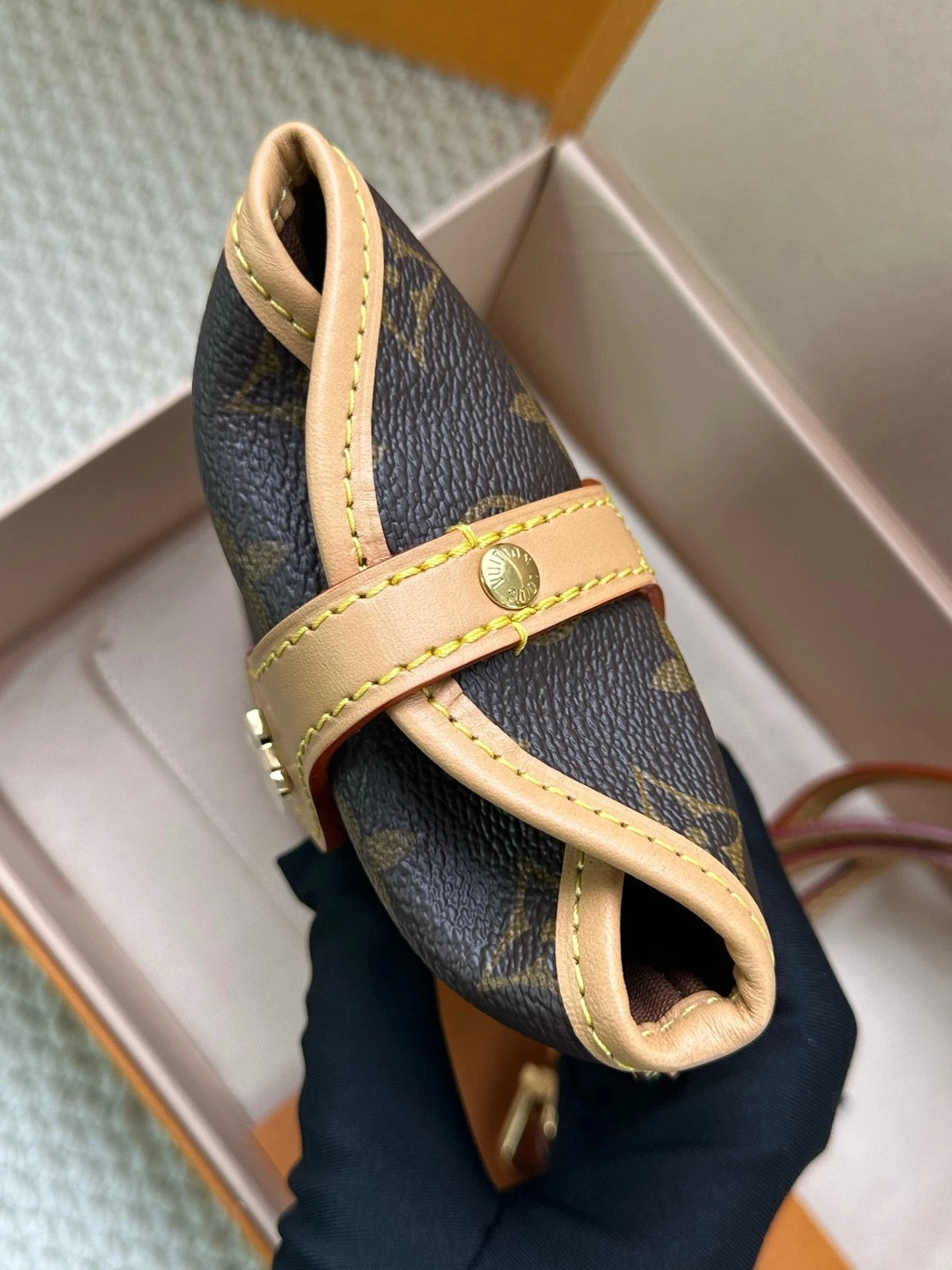 Louis Vuitton Monogram Canvas Mini Crossbody For Women