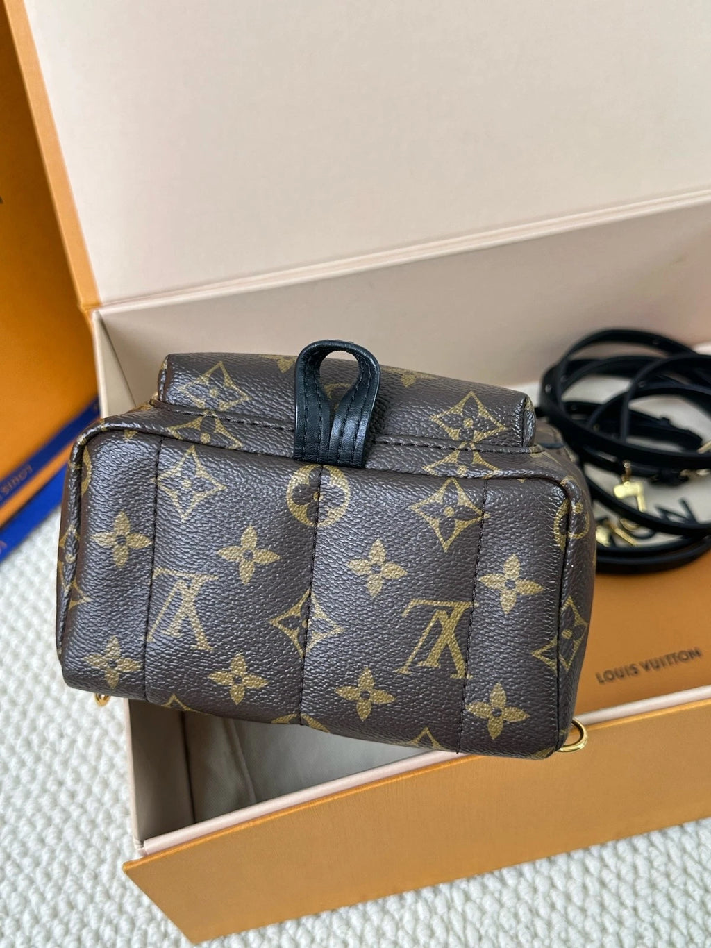 Louis Vuitton Monogram Canvas Mini Backpack For Women