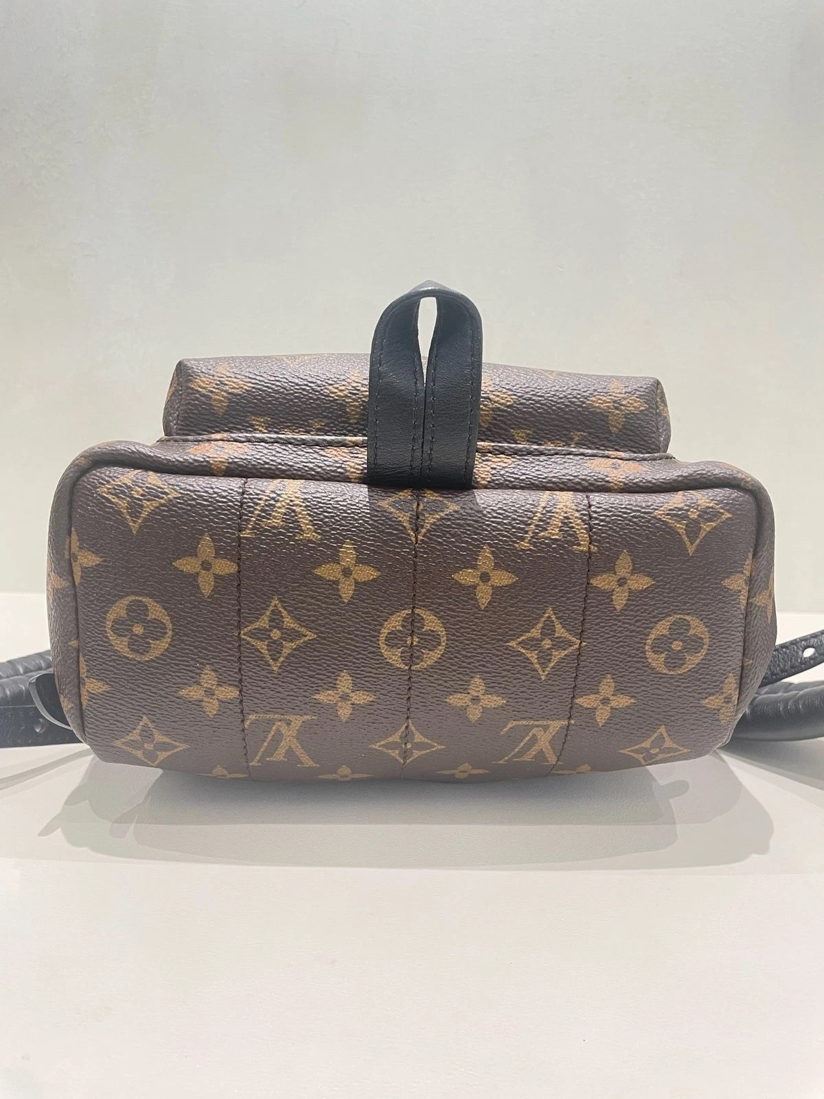 Louis Vuitton Palm Springs Monogram Canvas Small Backpack