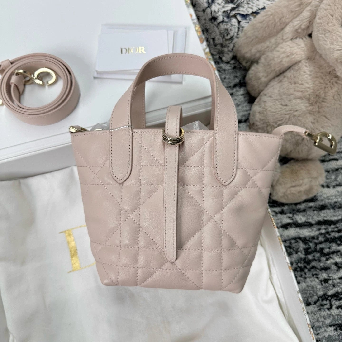 Dior Toujours Vertical Nano Sakura Pink Crossbody Bag For Women