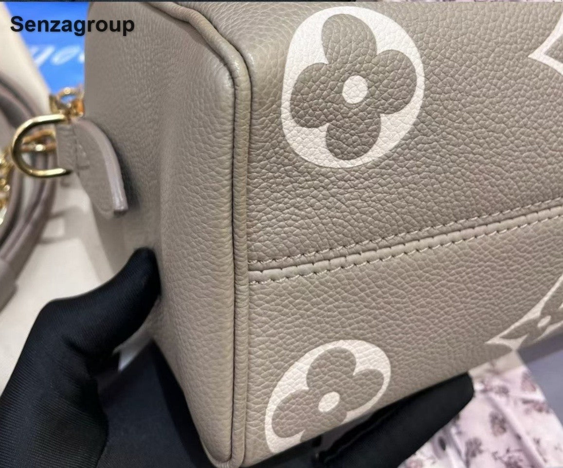 Louis Vuitton Speedy20 Monogram Top Handle Crossbody Gray Gold Women Classic