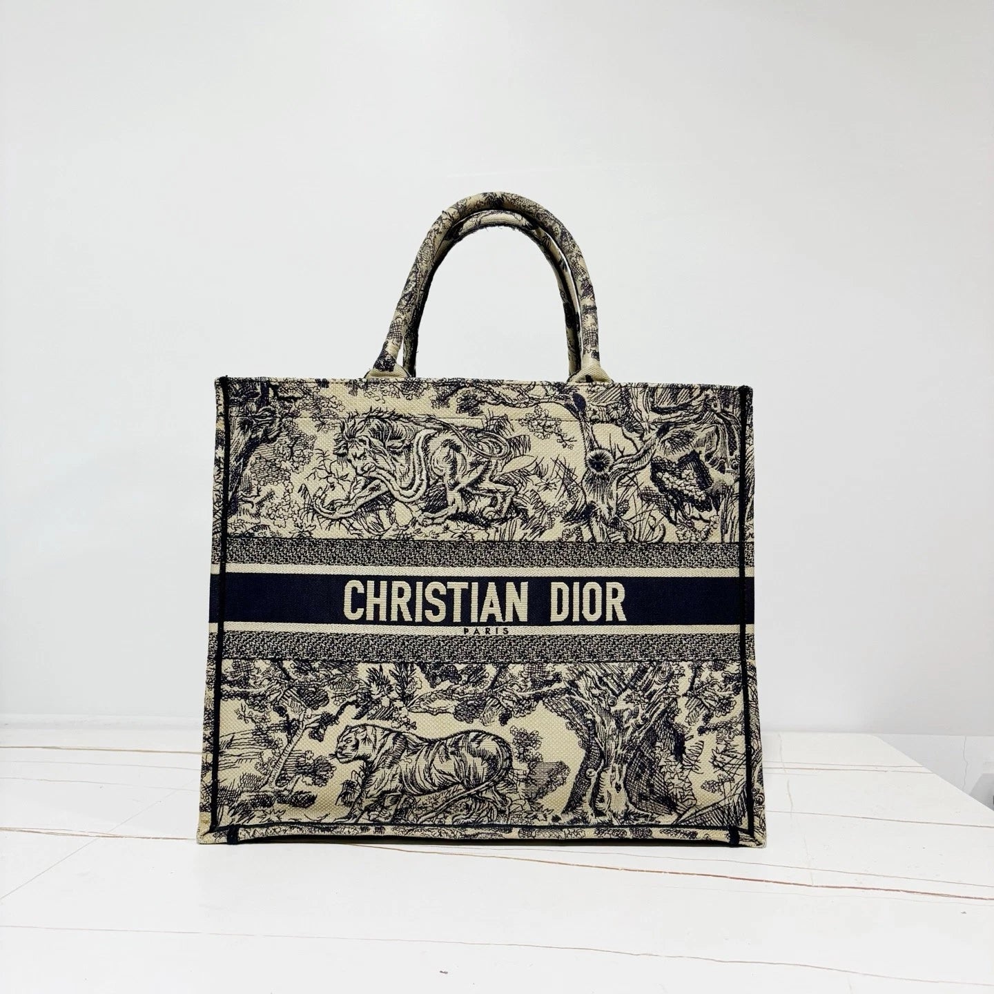 Dior Book Tote Canvas Blue Handbag Tote Bag Excellent