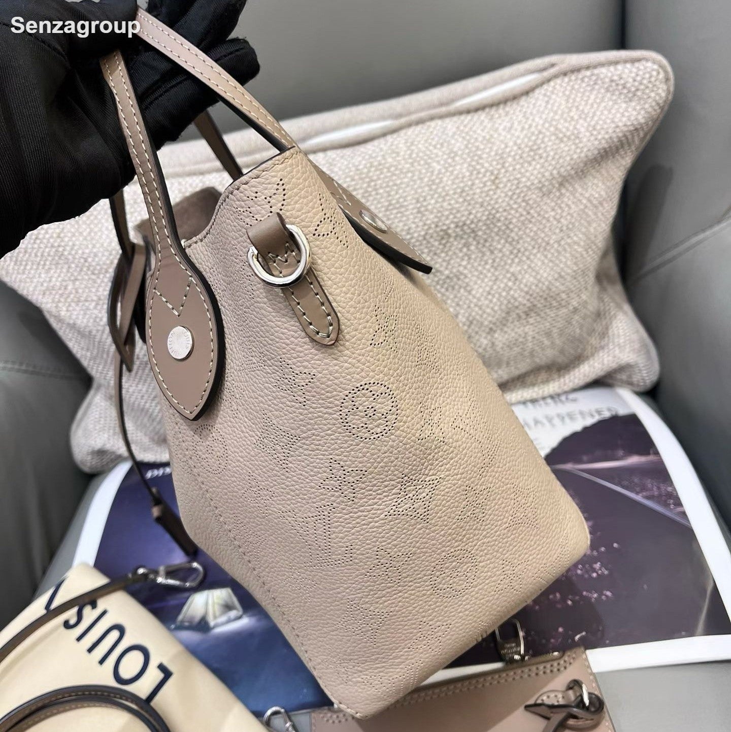 Louis Vuitton Hina Monogram Top Handle Crossbody Gray Silver Women Classic