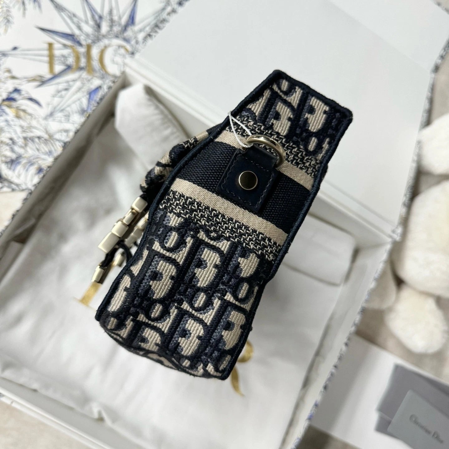 New Dior Camp Mini Messenger Shoulder Bag Canvas For Women
