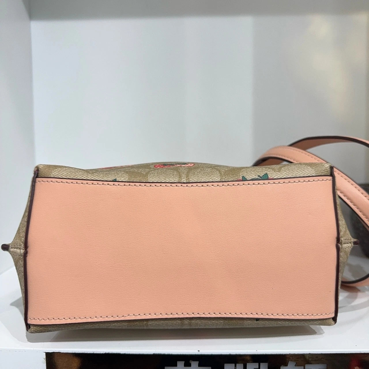 Coach Women's Strawberry Print Canvas Bucket Crossbody Shoulder Bag