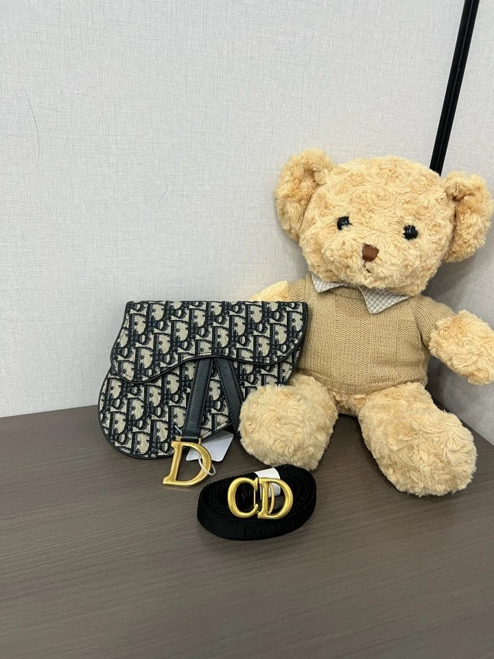 Dior Monogram Canvas Saddle Waist Chest Bag For Women