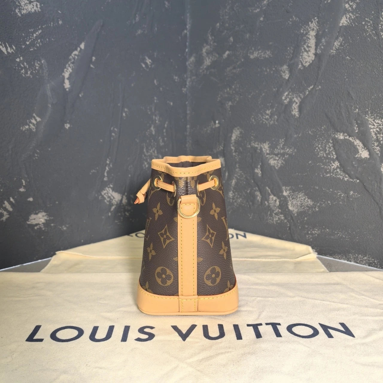 Louis Vuitton Nano Neo Canvas Bucket Crossbody Bag For Women