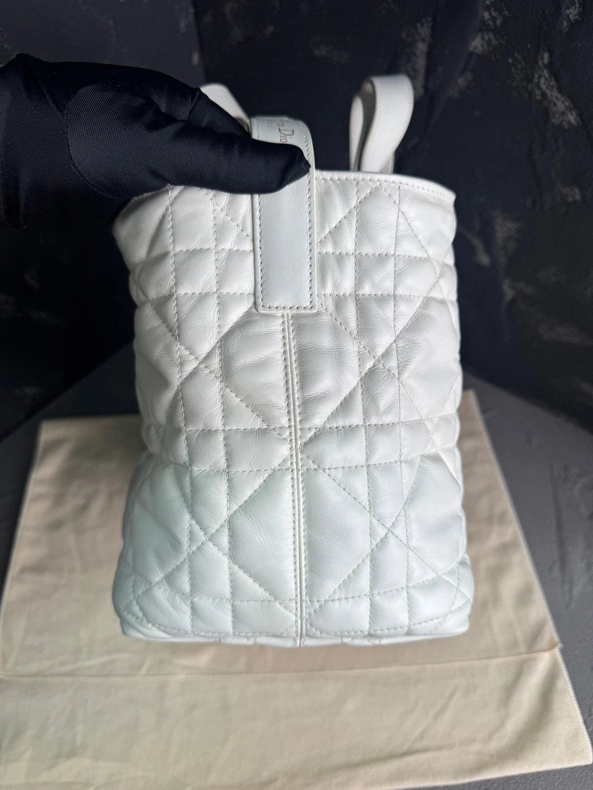 Dior Medium Leather Tote Bag For Women