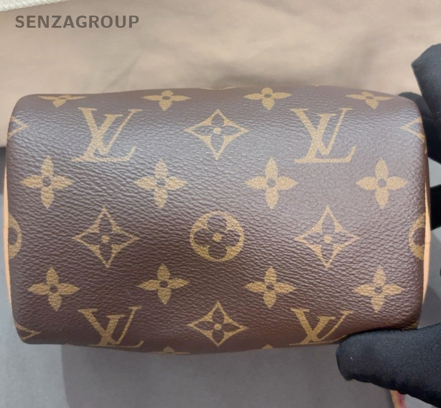 Louis Vuitton Speedy Nano Monogram Top Handle Bag Crossbody Brown Gold Women
