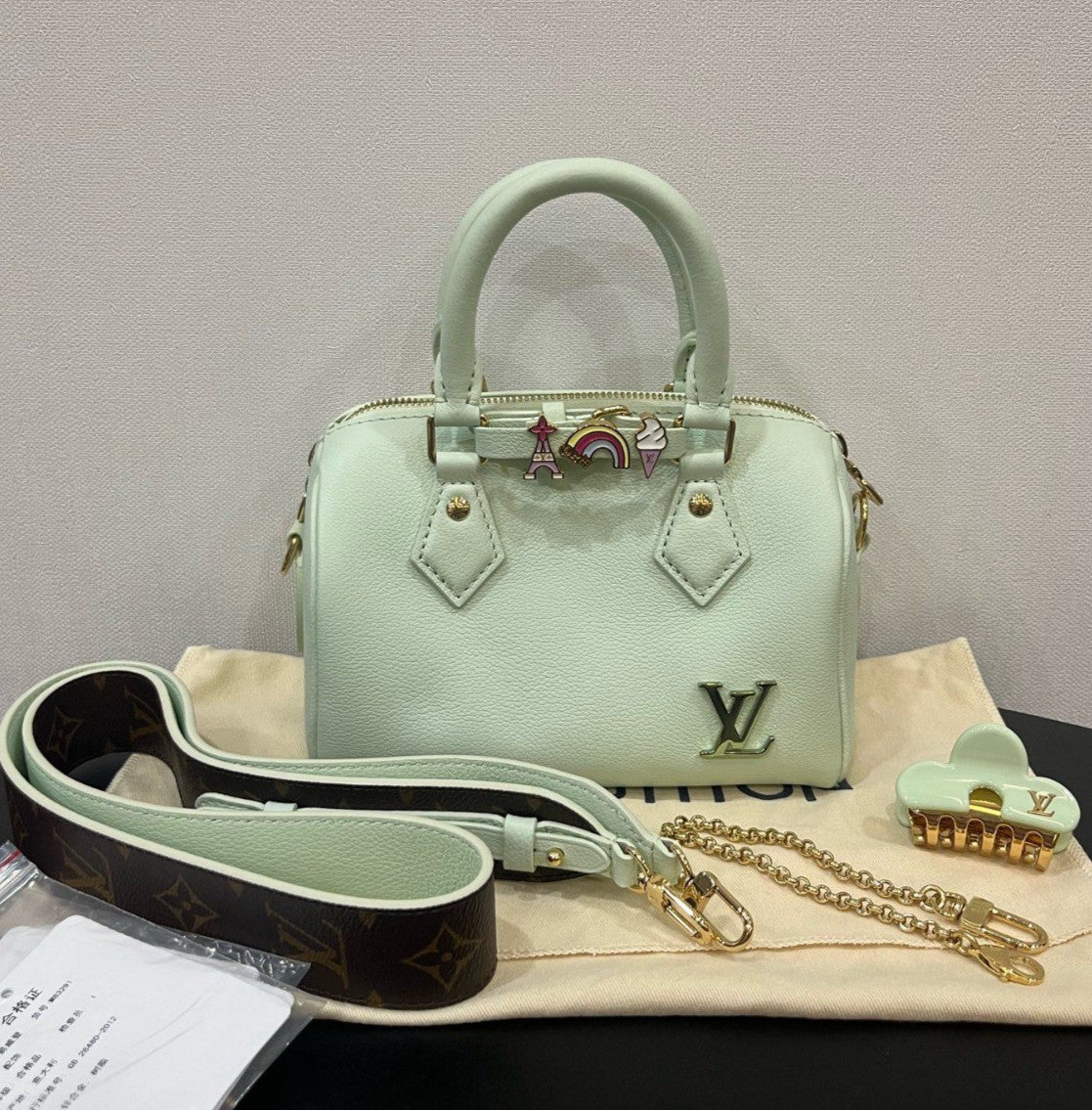 Louis Vuitton Speedy 18 All Leather Peppermint green 2WAY Shoulder Handbag