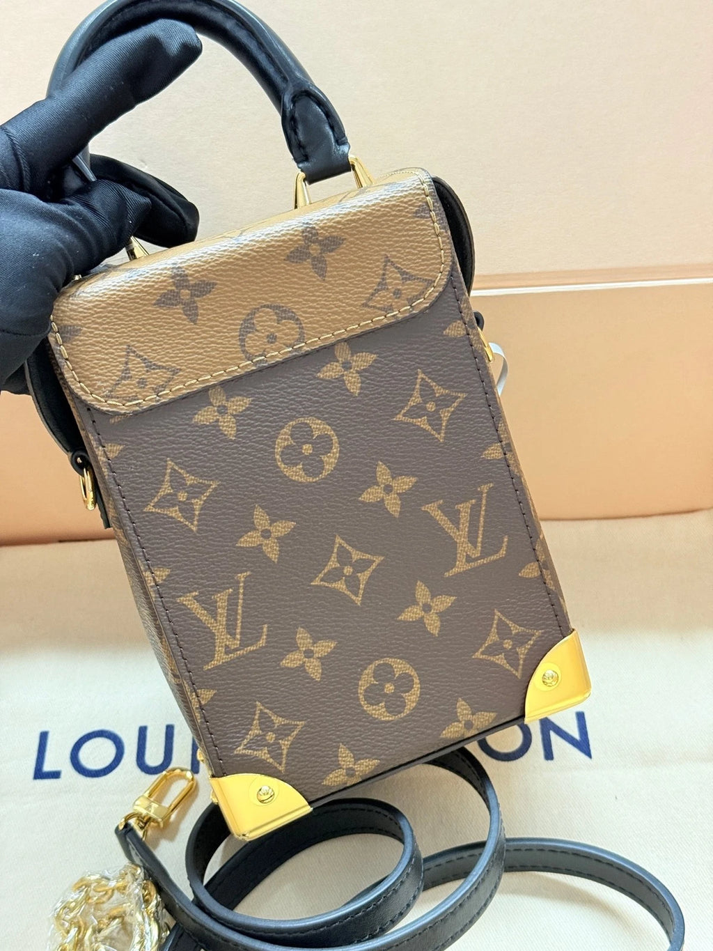 Louis Vuitton Leather Camera Box Crossbody Bag For Women