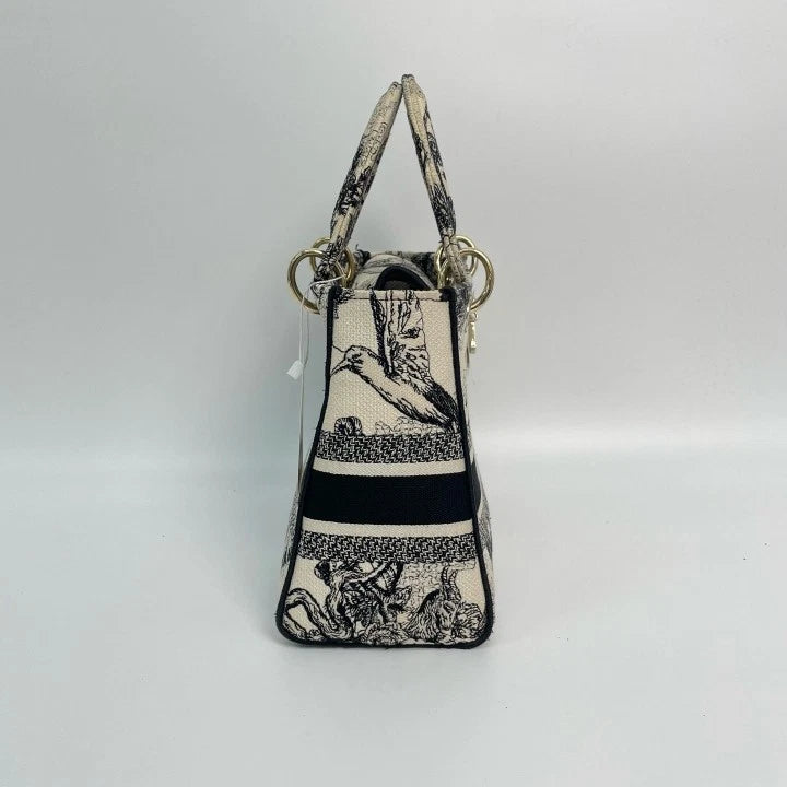Dior Embroidered Canvas Lady Dior Top Handle Bag For Women