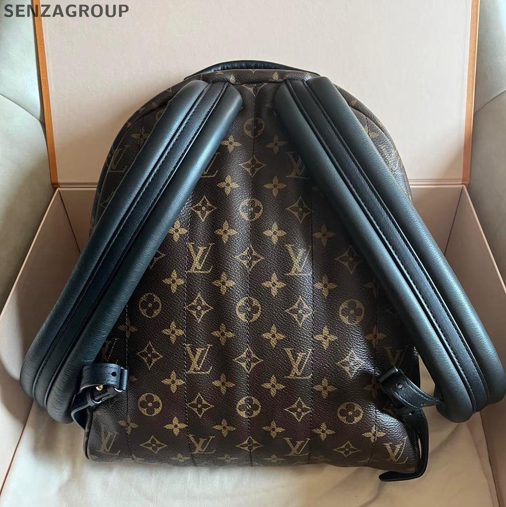 Louis Vuitton Palm Springs Backpack MM Monogram Brown Black Unisex
