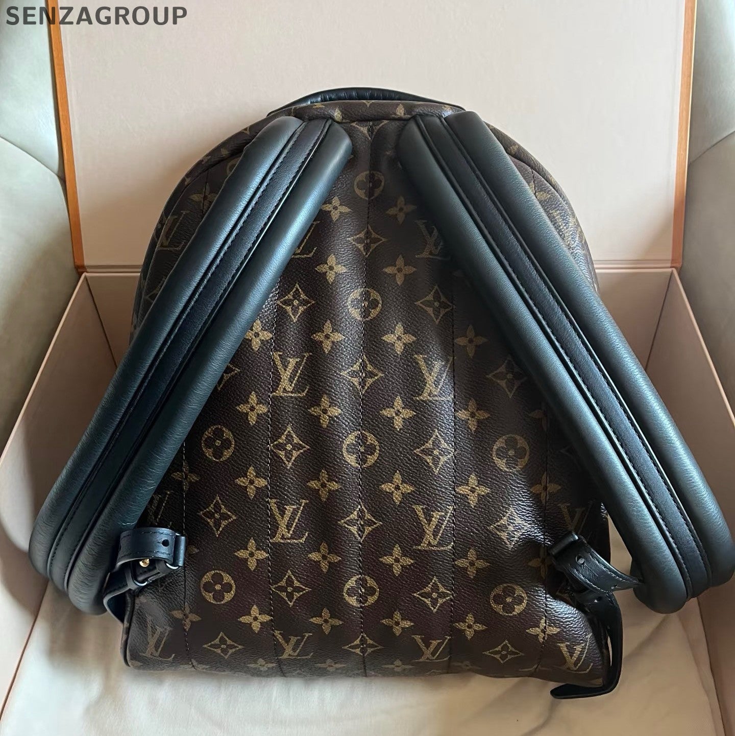 Louis Vuitton Palm Springs Backpack MM Monogram Brown Black Unisex