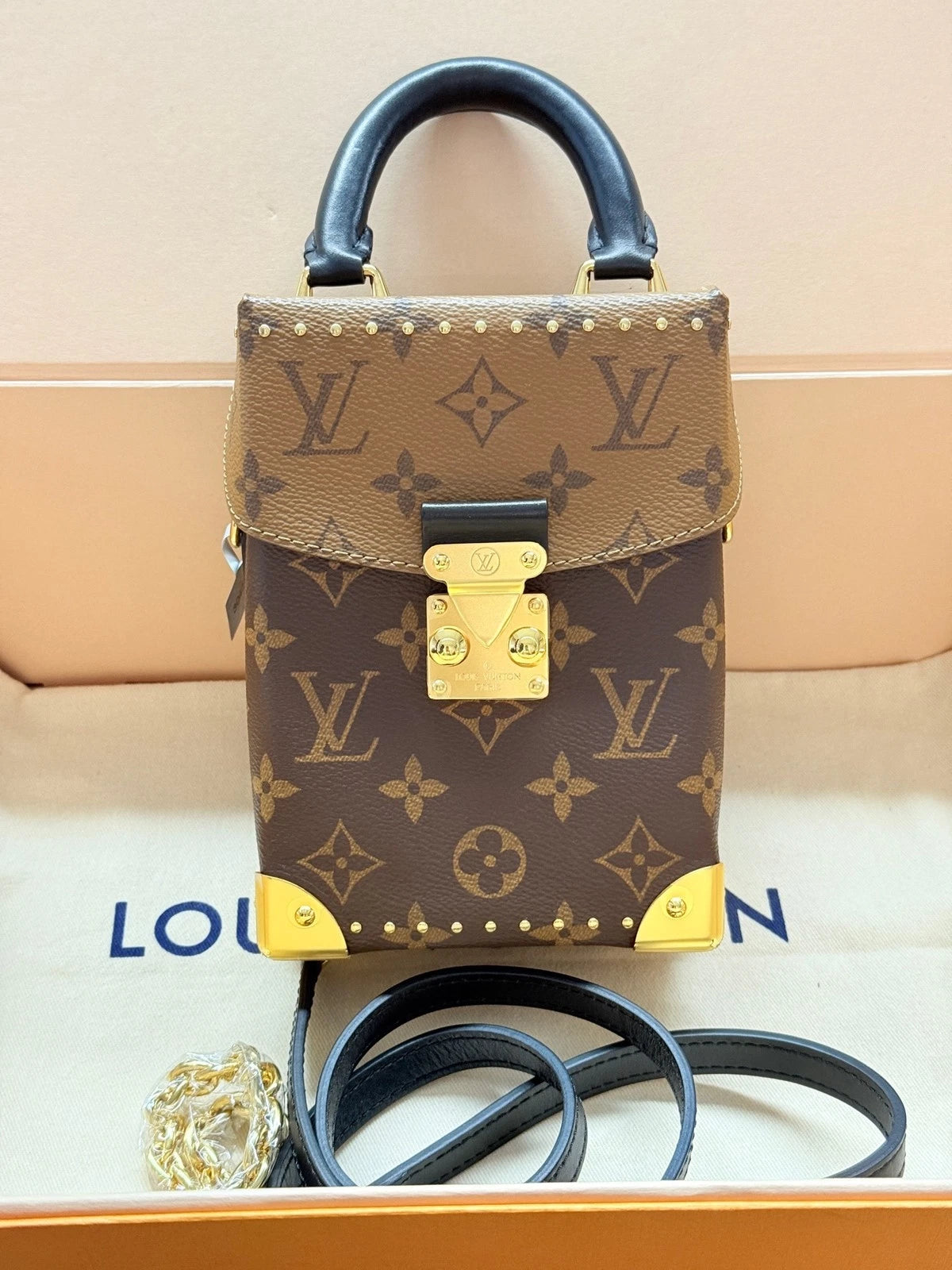 Louis Vuitton Leather Camera Box Crossbody Bag For Women