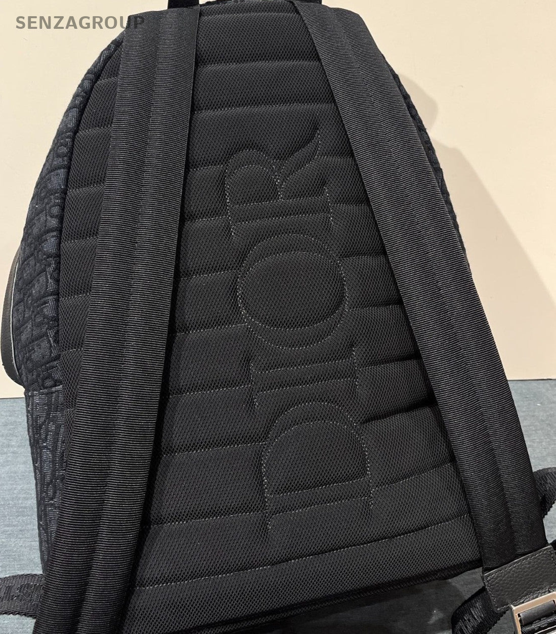 Christian Dior Rider Monogram Backpack Black Silver Unisex Adults Classic