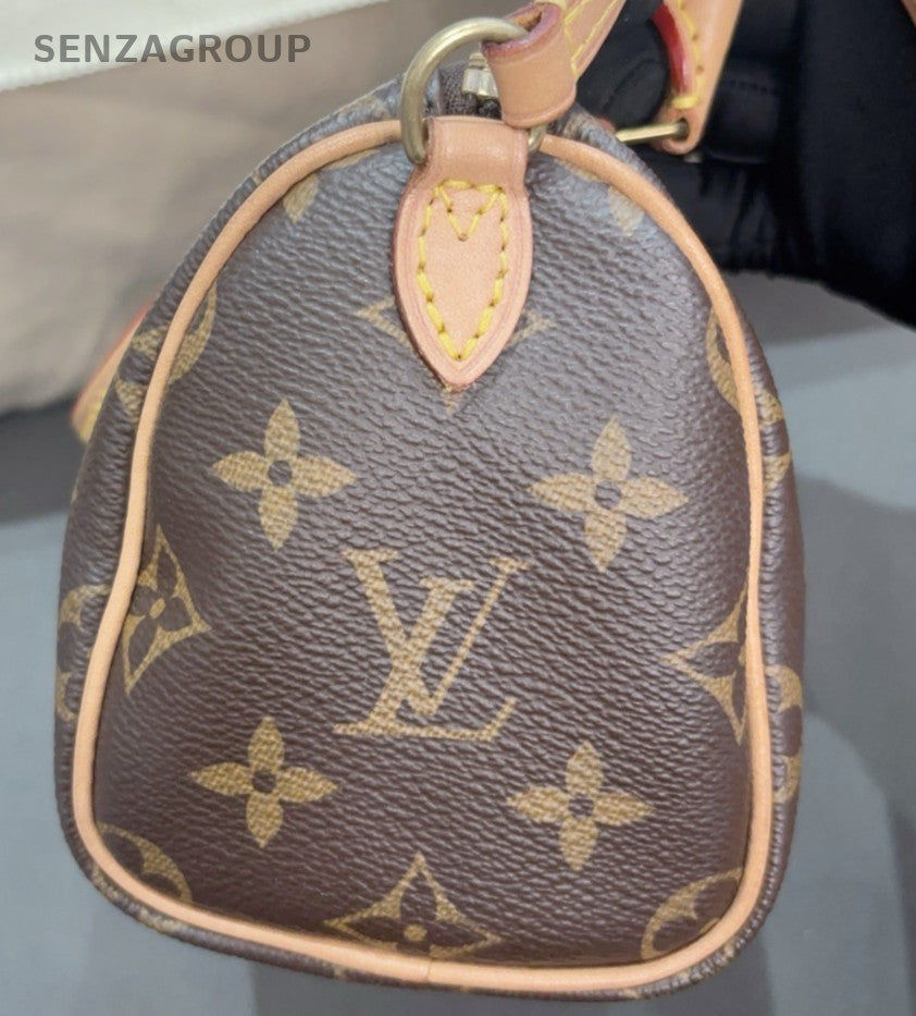 Louis Vuitton Speedy Nano Monogram Top Handle Bag Crossbody Brown Gold Women