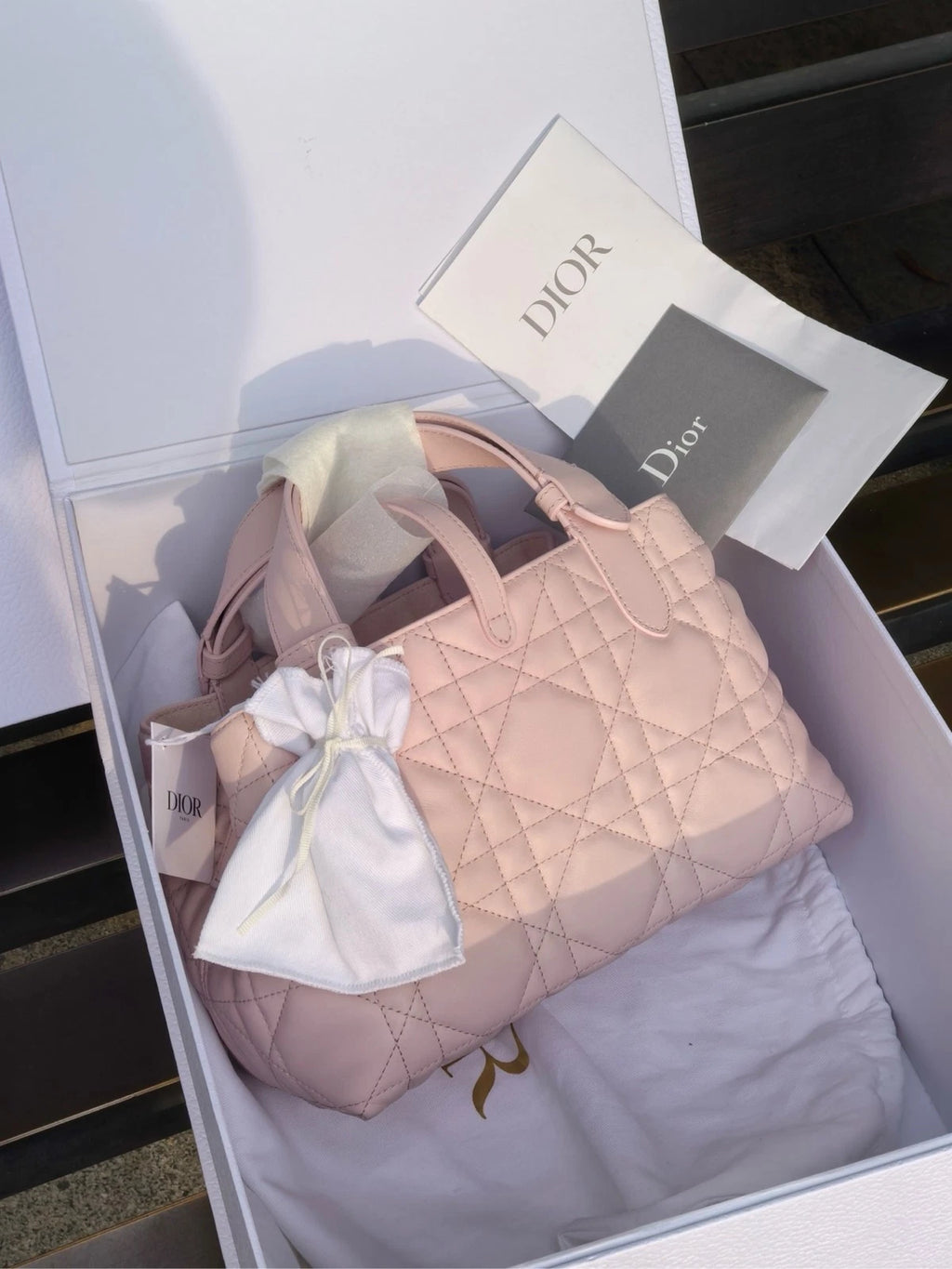 Dior Toujours Small Horizontal Pink Shoulder Bag For Women