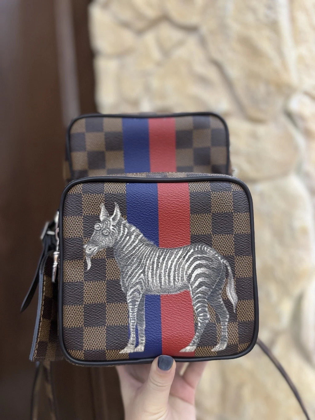 Louis Vuitton Rare Limited Edition Zebra Zoo Camera Crossbody Bag Women