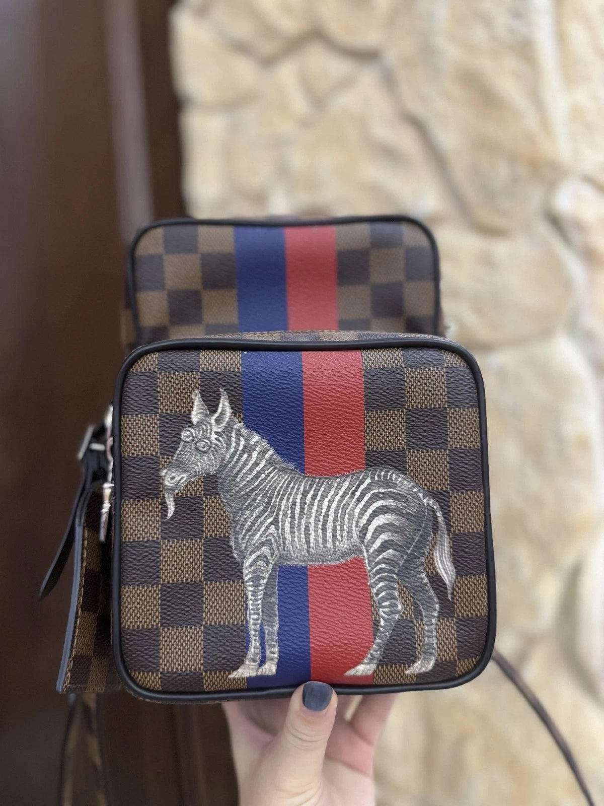 Louis Vuitton Rare Limited Edition Zebra Zoo Camera Crossbody Bag Women