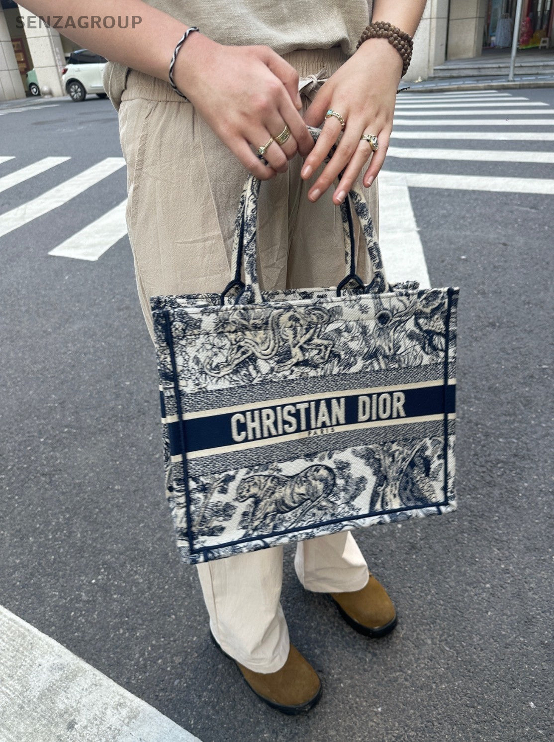 Christian Dior Book Tote Blue Zoo Tote Top Handle Shoulder Bag Women Blue