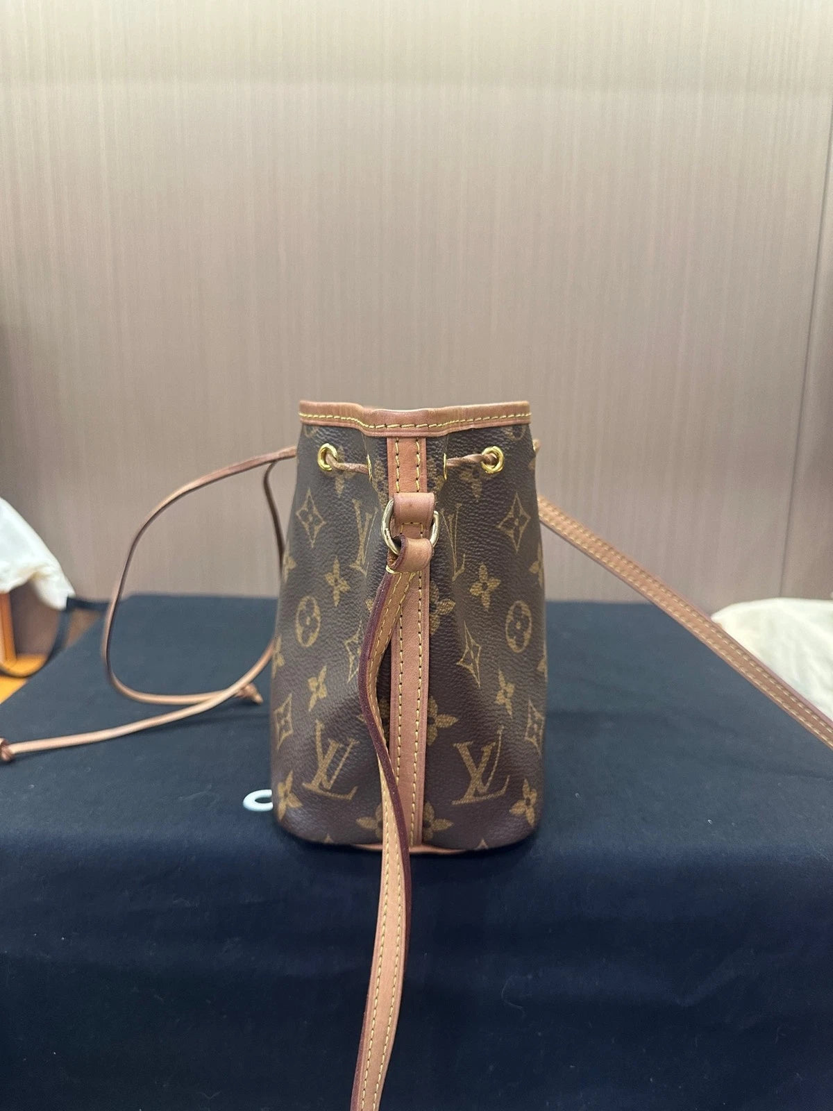 Louis Vuitton Nano Noe Monogram Canvas Bucket Bag for Women