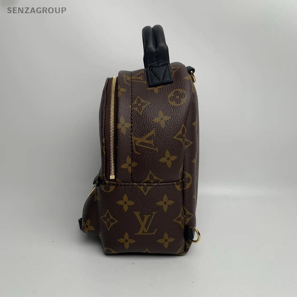 SJ0001 LV palm Spring mini backpack