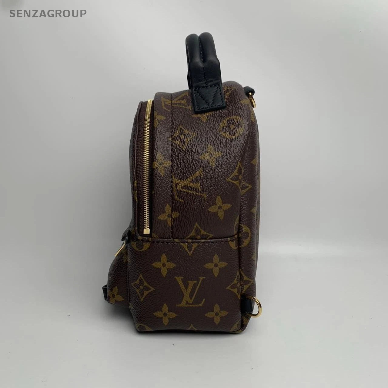 SJ0001 LV palm Spring mini backpack