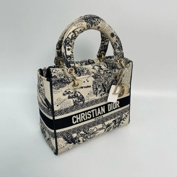 Dior Embroidered Canvas Lady Dior Top Handle Bag For Women