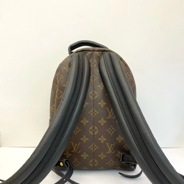 Louis Vuitton Canvas Monogram Palm Springs Small Backpack Women