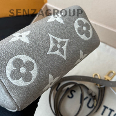 Louis Vuitton Speedy Nano Monogram Grey Gold Handbag Women Classic