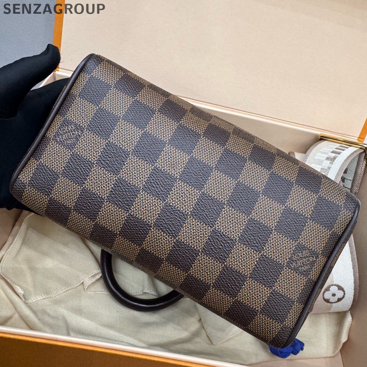 Louis Vuitton Damier Ebene Speedy 20 Handbag - Classic Women's Bag