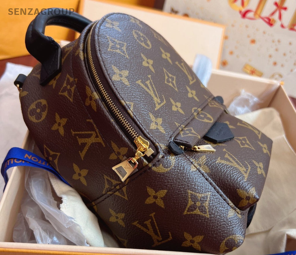 Louis Vuitton Palm Springs Backpack Shoulder bag Brown Brand NEW Women