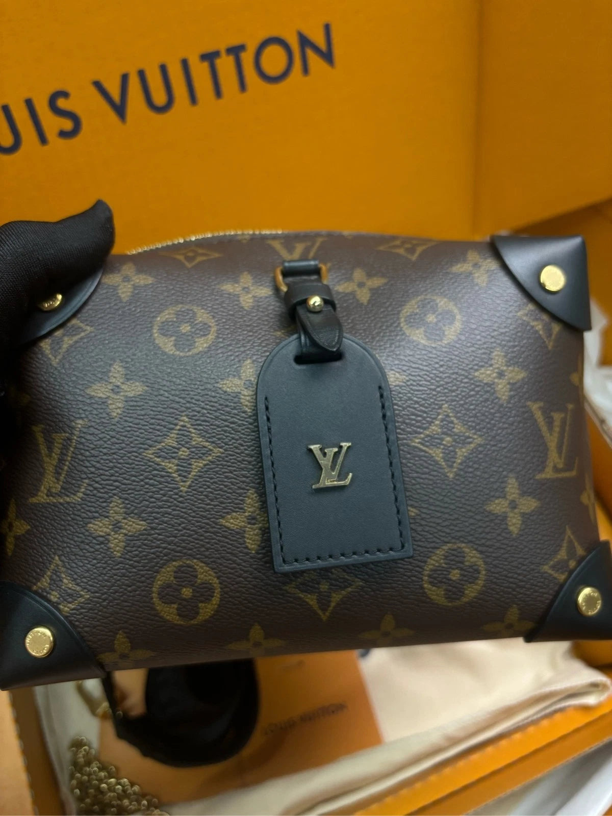 Louis Vuitton Petite Malle Souple Canvas Crossbody Handbag For Women