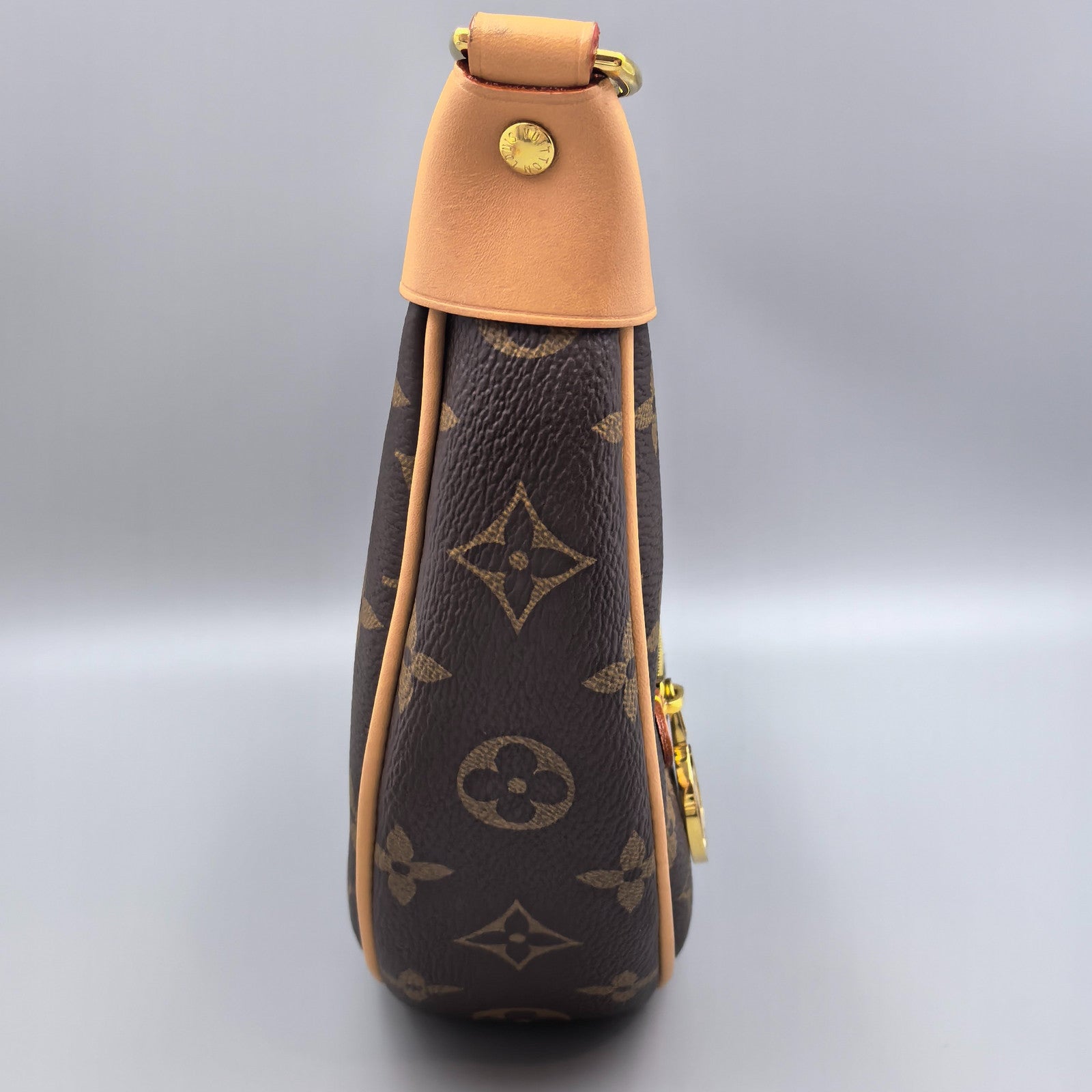 Louis Vuitton Loop Monogram Chain Shoulder Bag Brown Gold Hardware