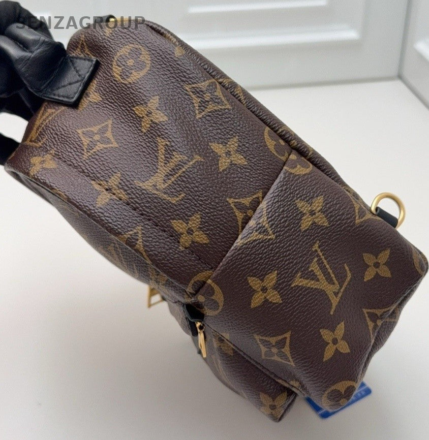Louis Vuitton Palm Springs Monogram Backpack Women Brown
