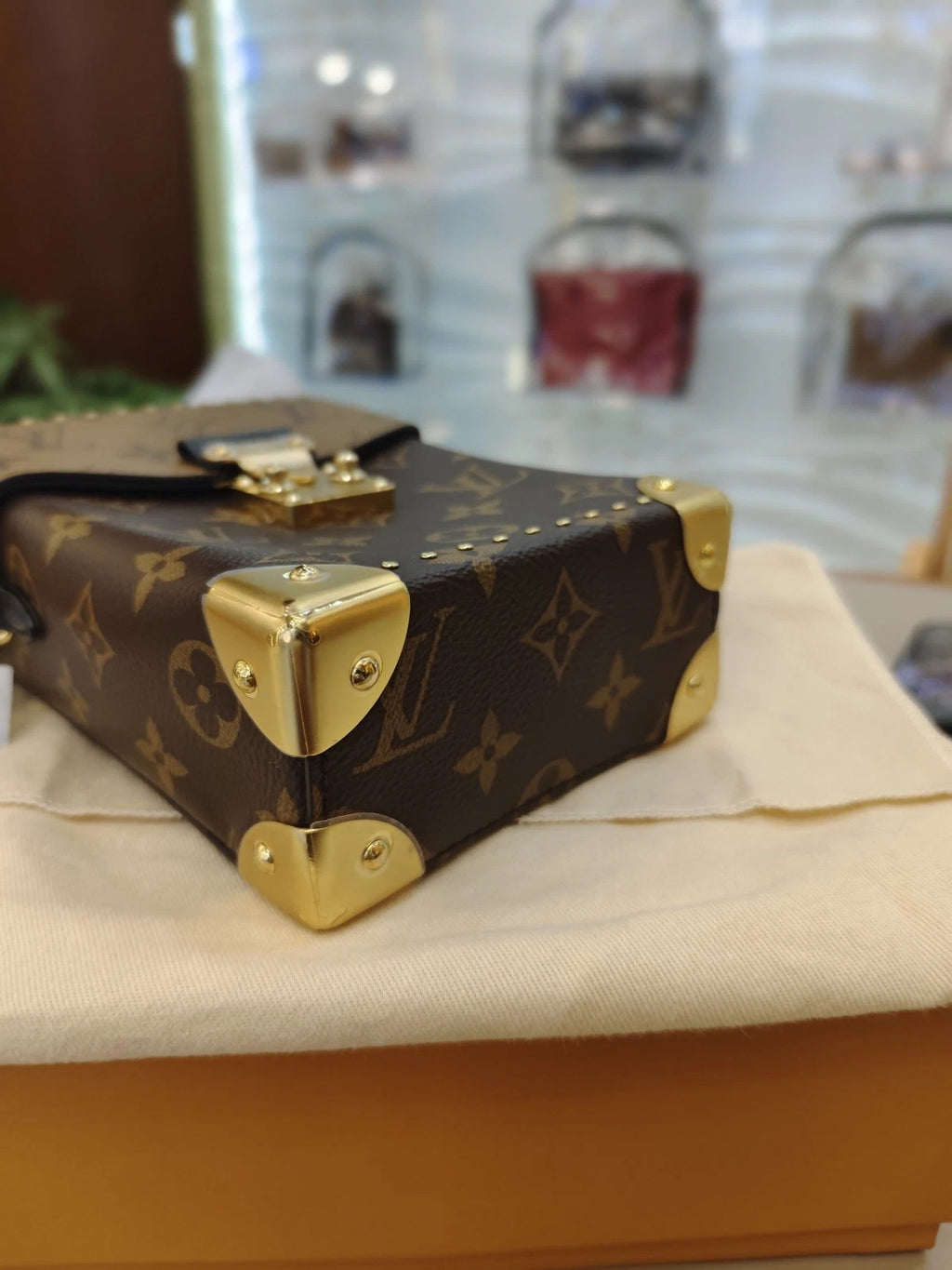 Louis Vuitton Monogram Canvas Camera Box Handbag For Women