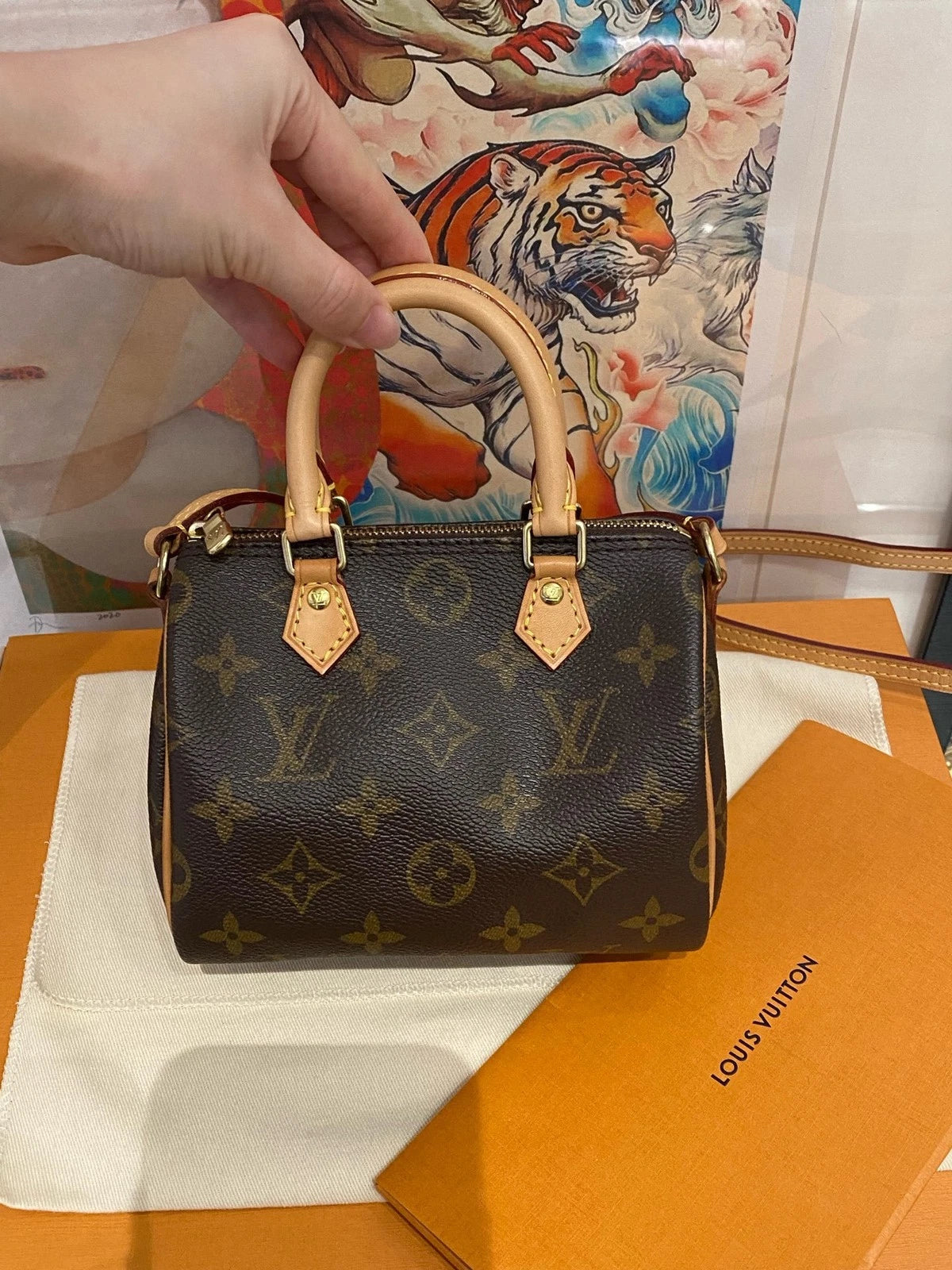 Louis Vuitton Monogram Canvas Speedy Nano Crossbody For Women