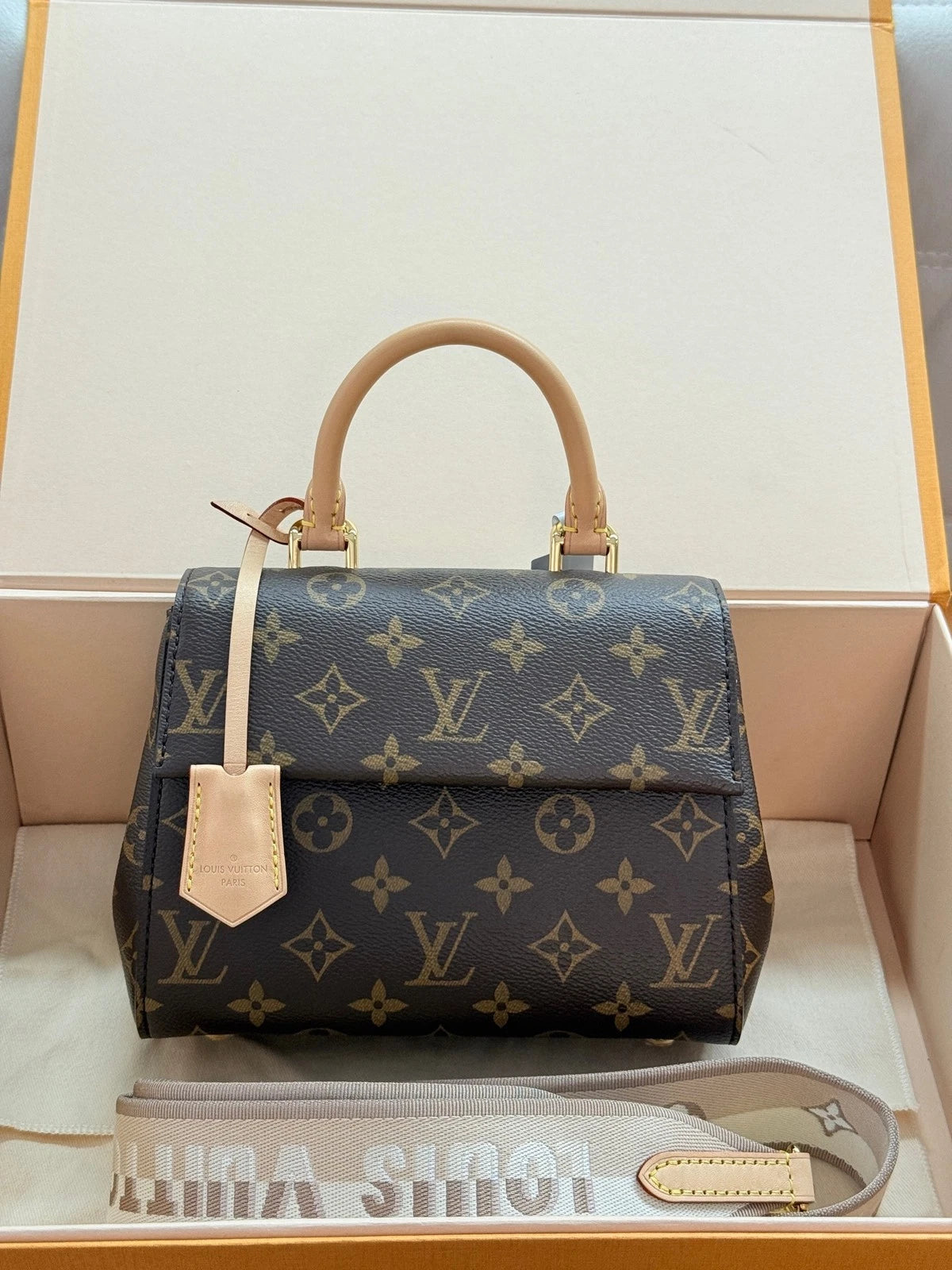 Louis Vuitton Mini Cluny Monogram Canvas Shoulder Bag For Women