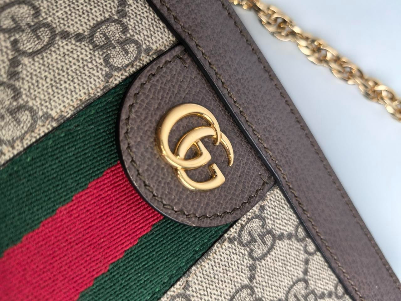 SJ0001  Ophidia GG Pochette